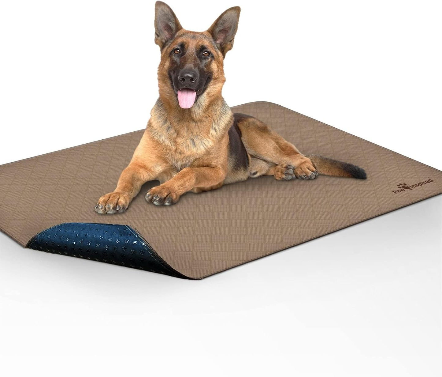 Washable Pee Pads for Dogs | Leakproof, Non-Slip Reusable Puppy Pads for Potty Training, Whelping, Waterproof Mat (48X60 Size, Pack of 1)