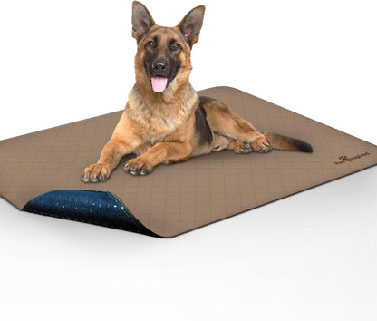 Washable Pee Pads for Dogs | Leakproof, Non-Slip Reusable Puppy Pads for Potty Training, Whelping, Waterproof Mat (48X60 Size, Pack of 1)